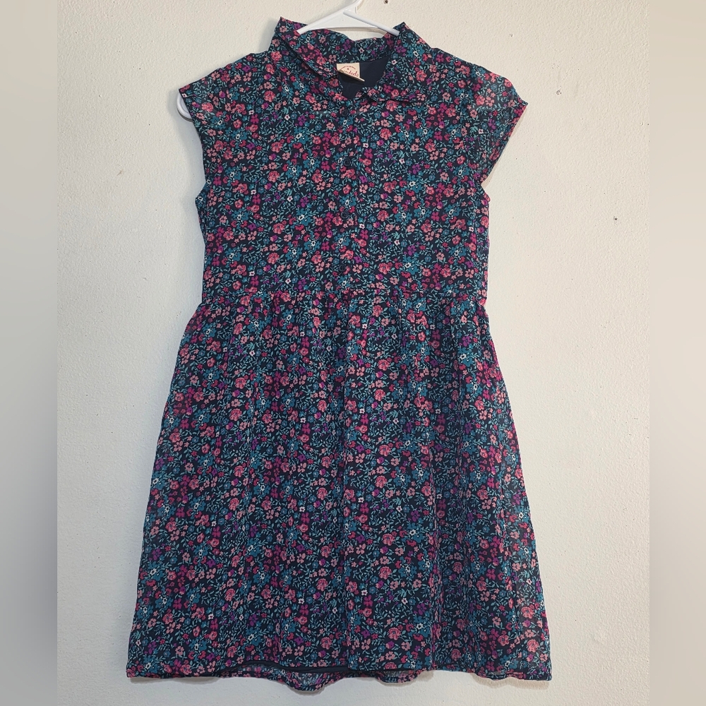 Faded Glory Floral Kids Dress - Pink and Blue (0237)